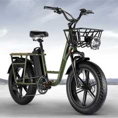 Fiido T1 Pro – Powerful Utility Cargo Electric Bike for Everyday City Riding